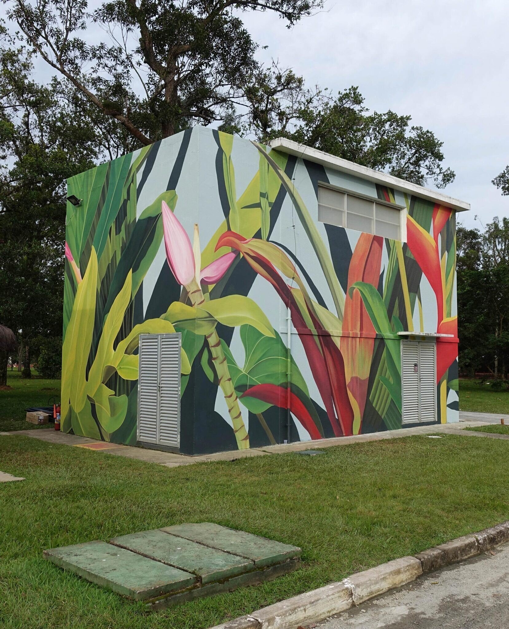 thiago mazza murales intervenciones urbanas street art 2