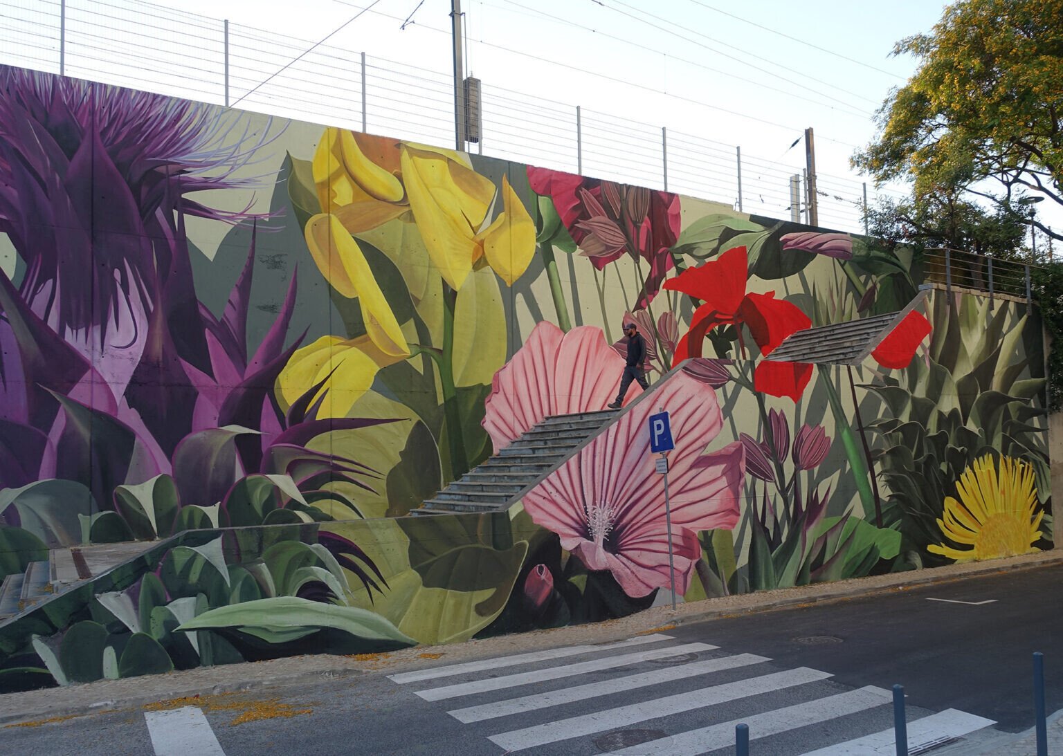 thiago mazza murales intervenciones urbanas street art 3
