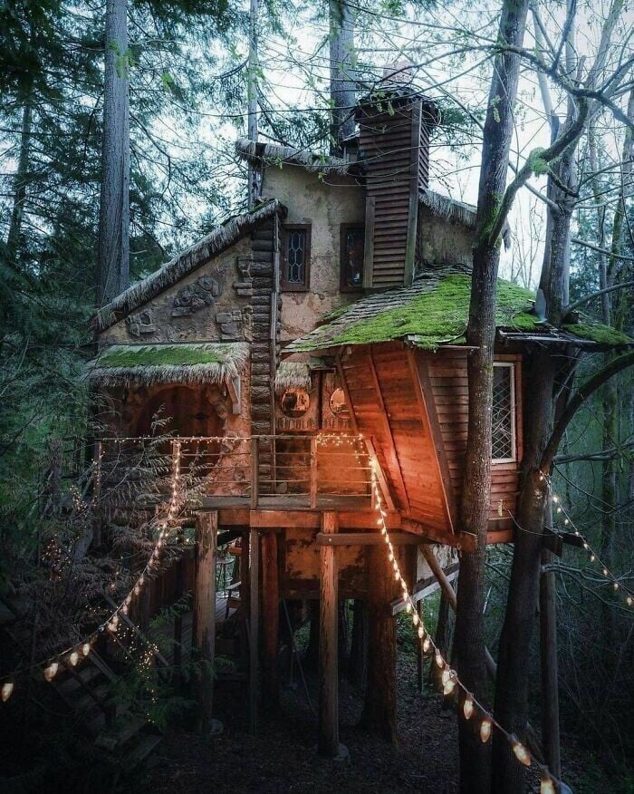 cabanas naturaleza viajar reddit 1