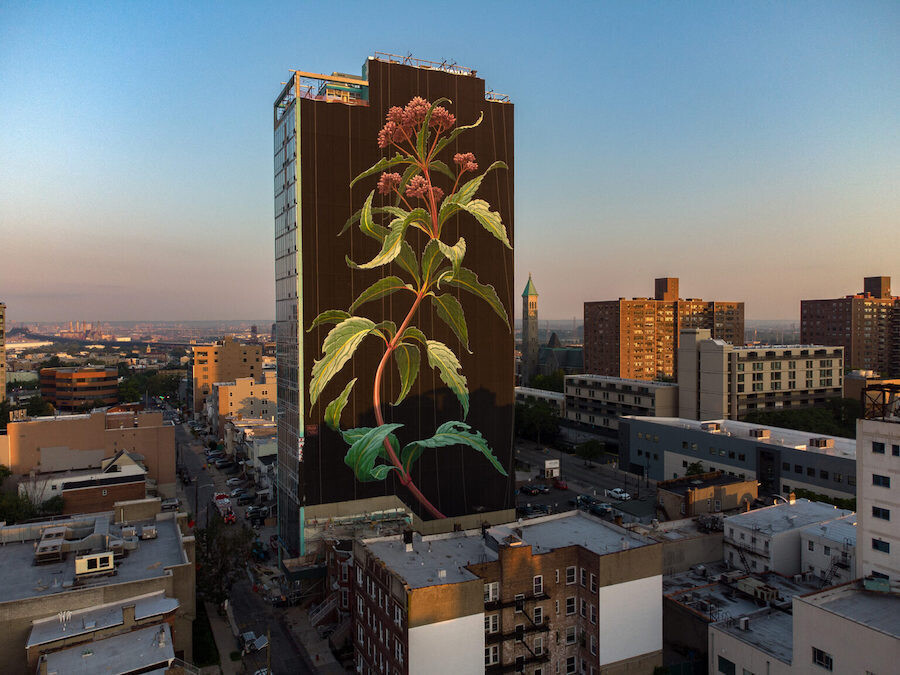 mona caron mural floral arte urbano 2