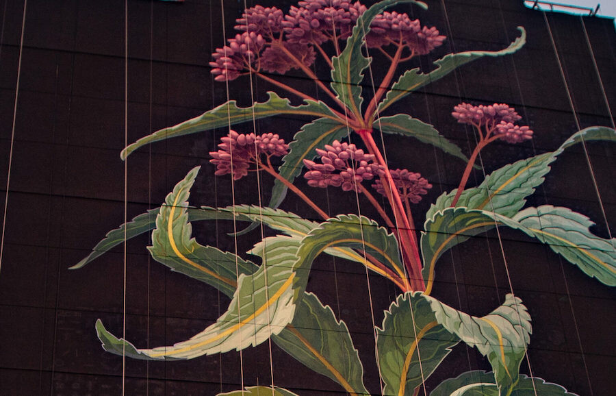 mona caron mural floral arte urbano 3