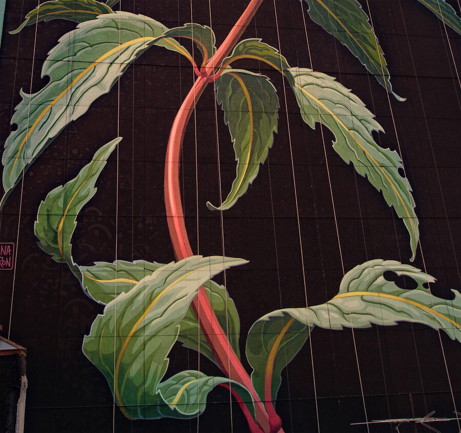 mona caron mural floral arte urbano 5