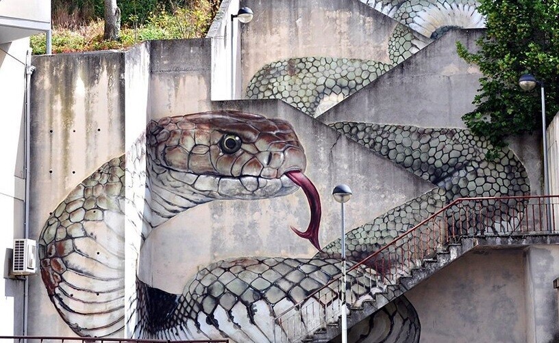 SFHIR arte urbano street art intervenciones urbanas portugal