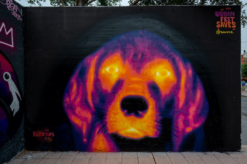 ci urban fest 2021 mural graffit 13