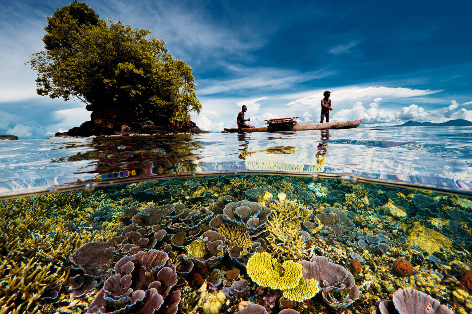david doubilet two worlds fotografia silvestre naturaleza 2