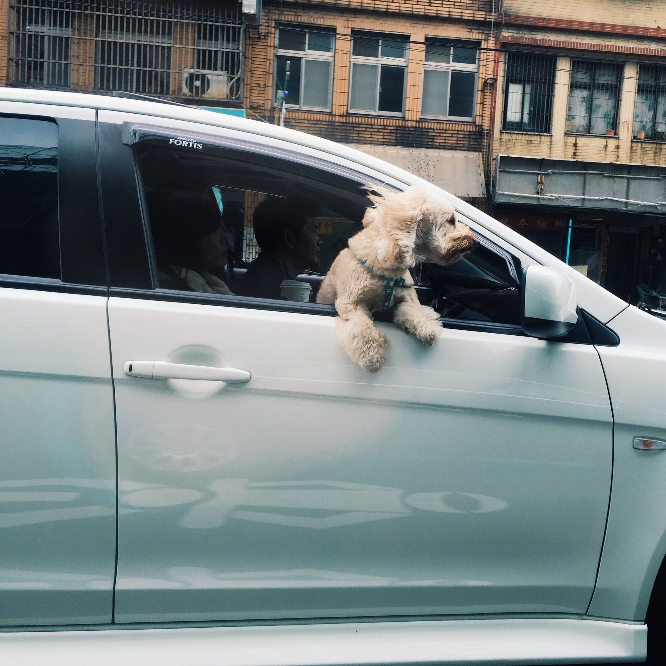kia dialogos para el movimiento