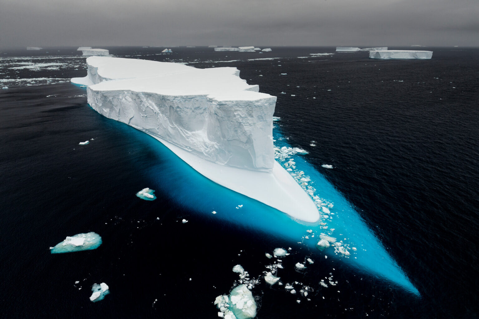 origins cristina mittermeier paul nicklen naturaleza fotografia silvestre medio ambiente 4
