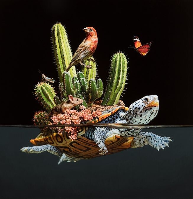 lisa ericson ilustraciones animales ecosistema espalda 1
