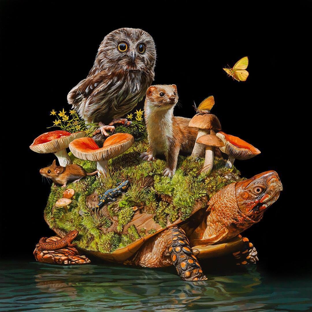 lisa ericson ilustraciones animales ecosistema espalda 10