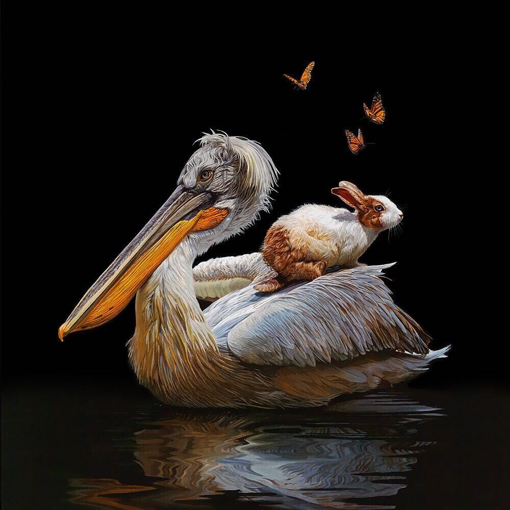 lisa ericson ilustraciones animales ecosistema espalda 11