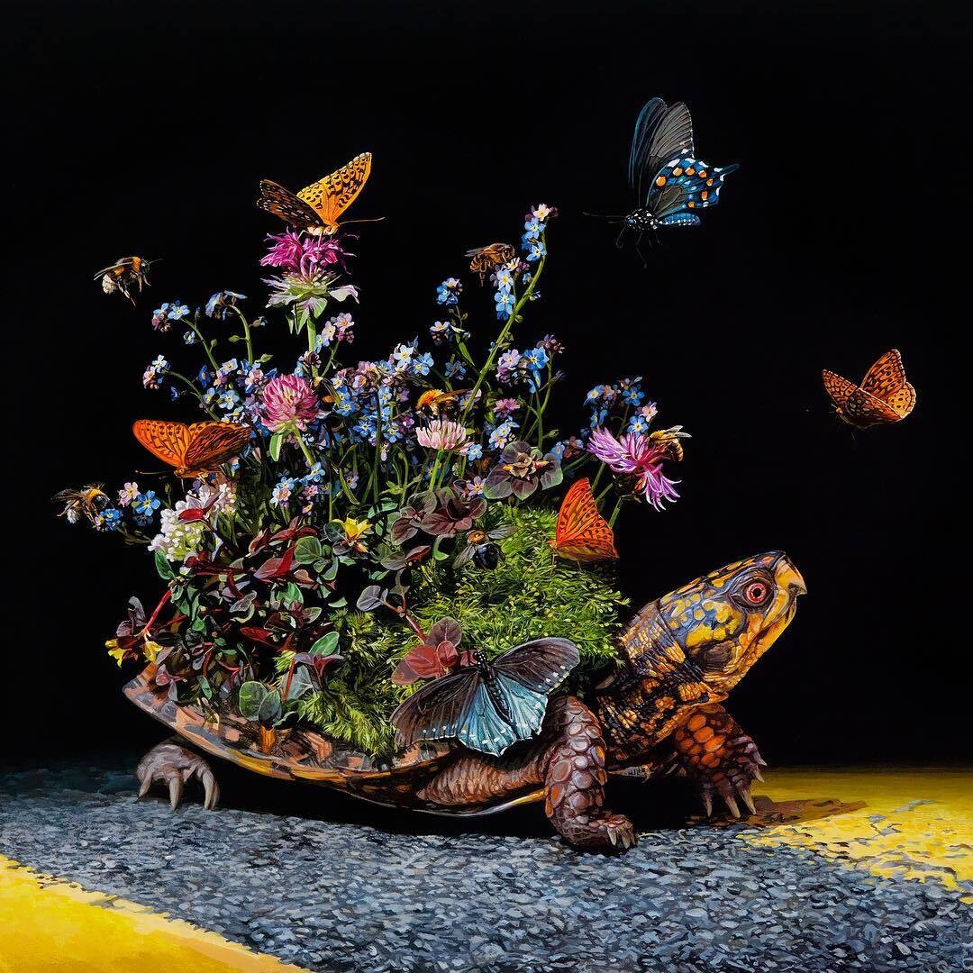 lisa ericson ilustraciones animales ecosistema espalda 2