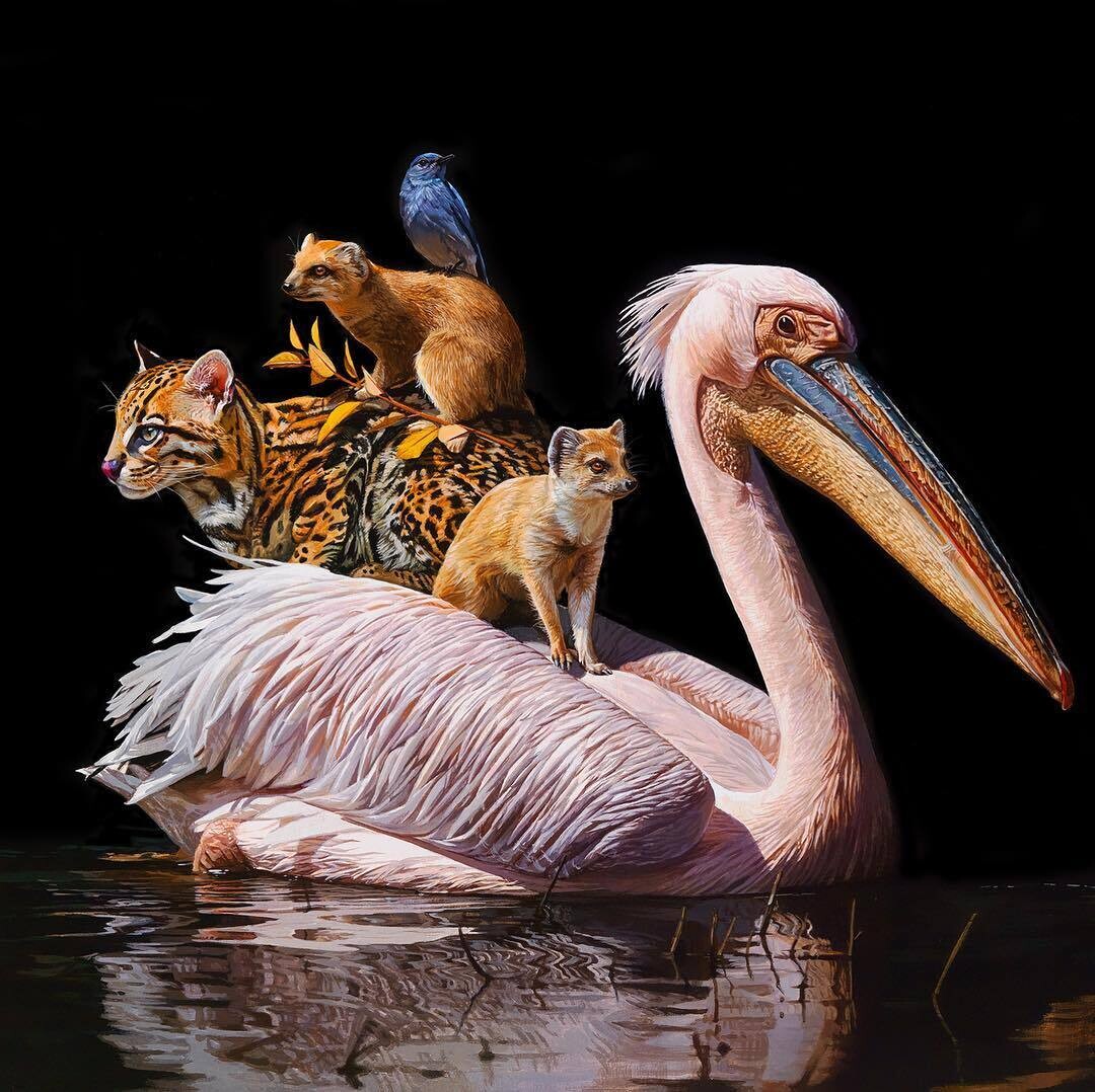 lisa ericson ilustraciones animales ecosistema espalda 3