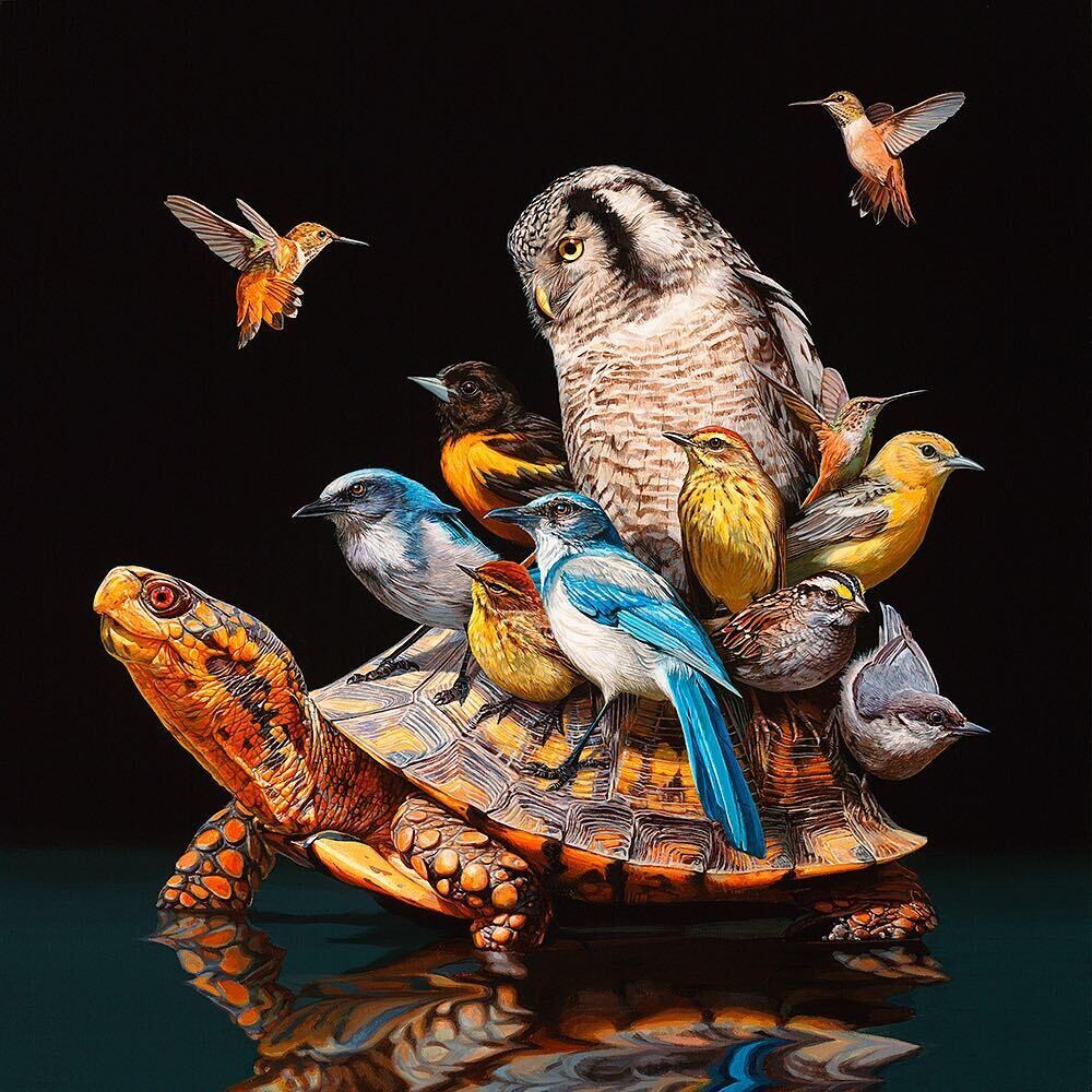 lisa ericson ilustraciones animales ecosistema espalda 4
