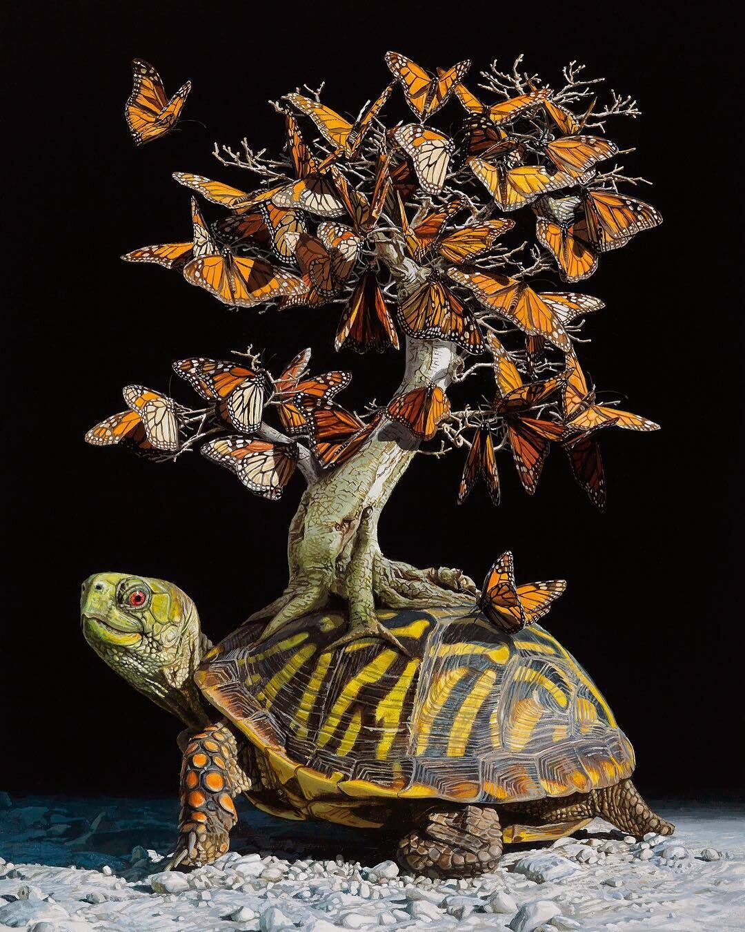 lisa ericson ilustraciones animales ecosistema espalda 5