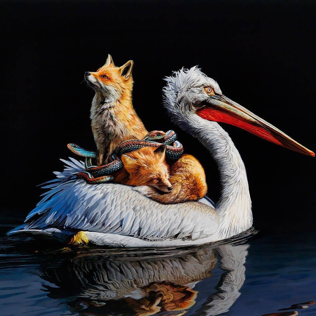 lisa ericson ilustraciones animales ecosistema espalda 7