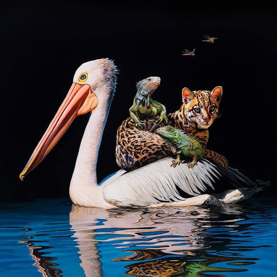 lisa ericson ilustraciones animales ecosistema espalda 8