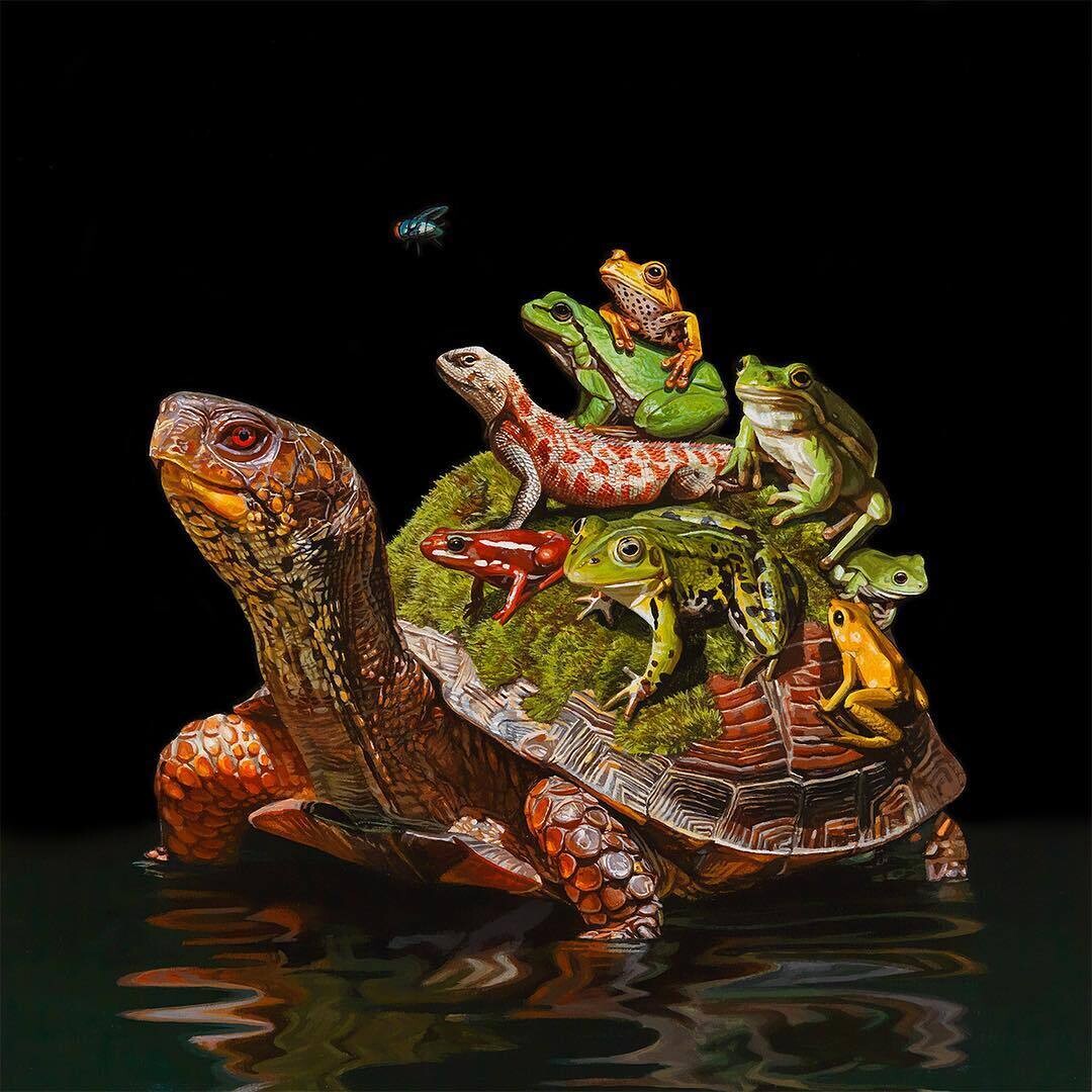 lisa ericson ilustraciones animales ecosistema espalda 9