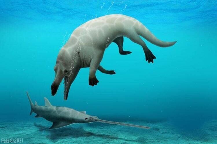 ballena prehistorica cuatro patas egipto 3