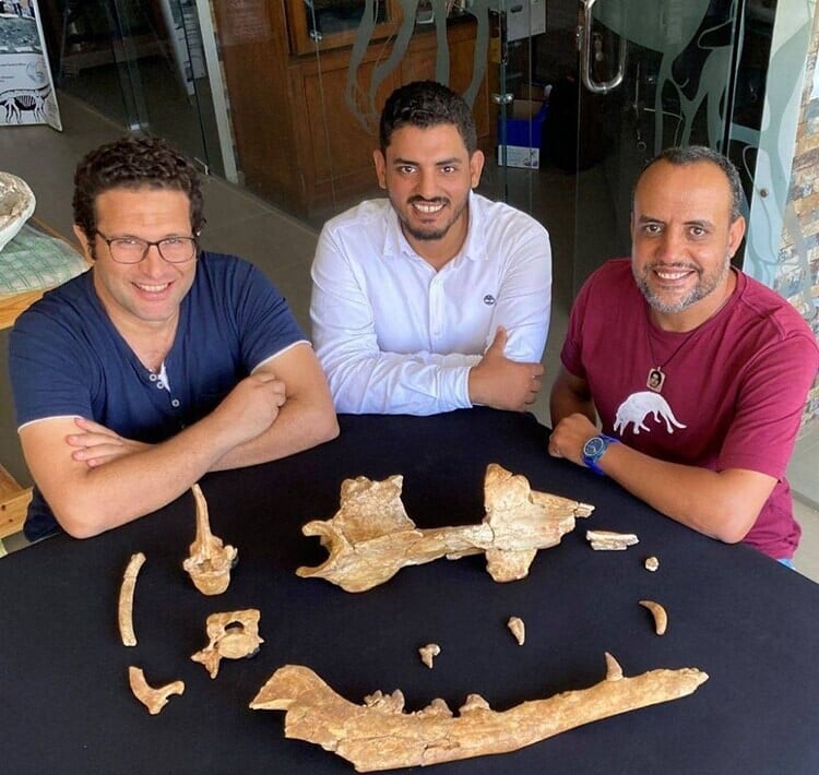 ballena prehistorica cuatro patas egipto 4