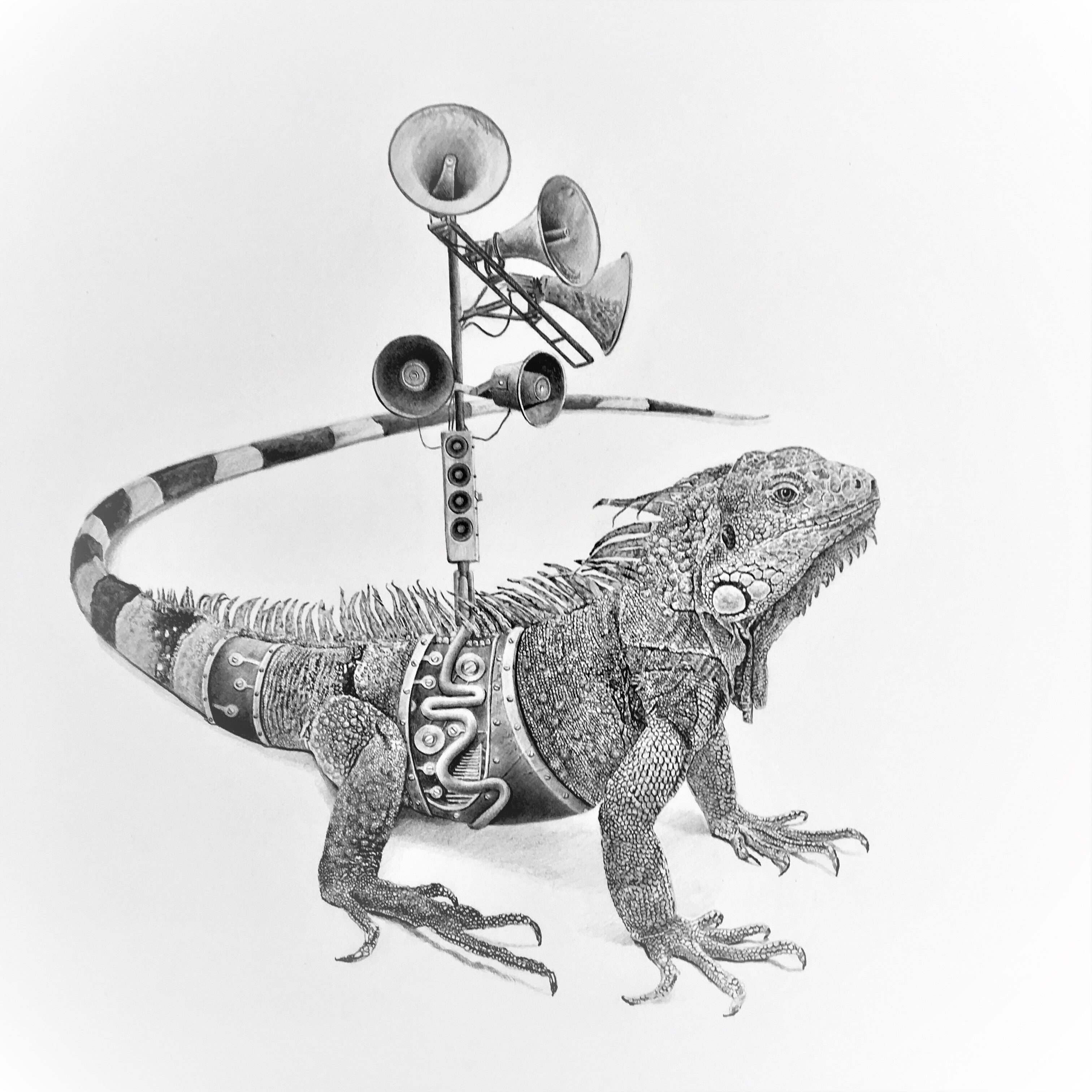 Bestiario ilustraciones de Leonardo Palencia