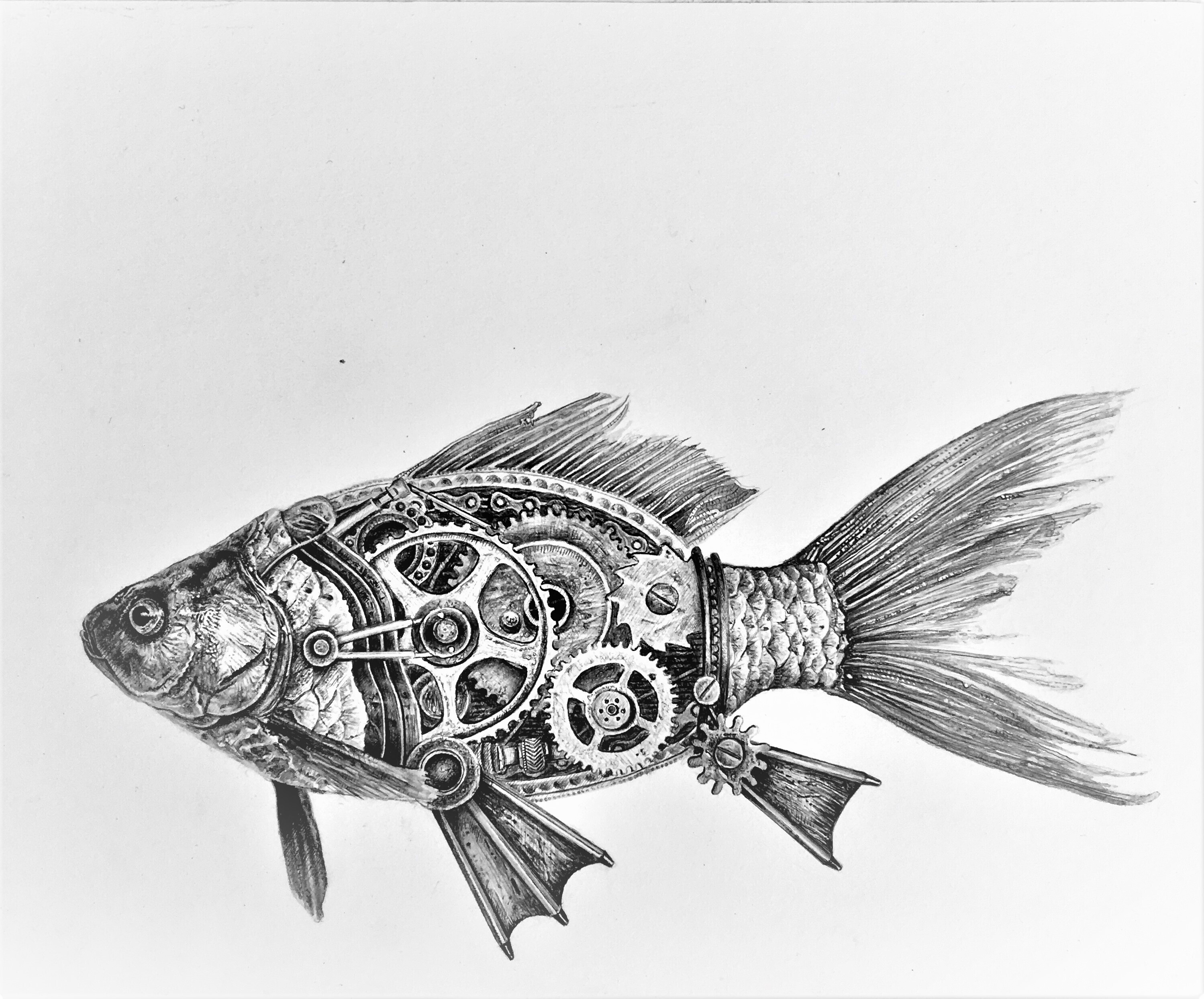 Bestiario ilustraciones de Leonardo Palencia