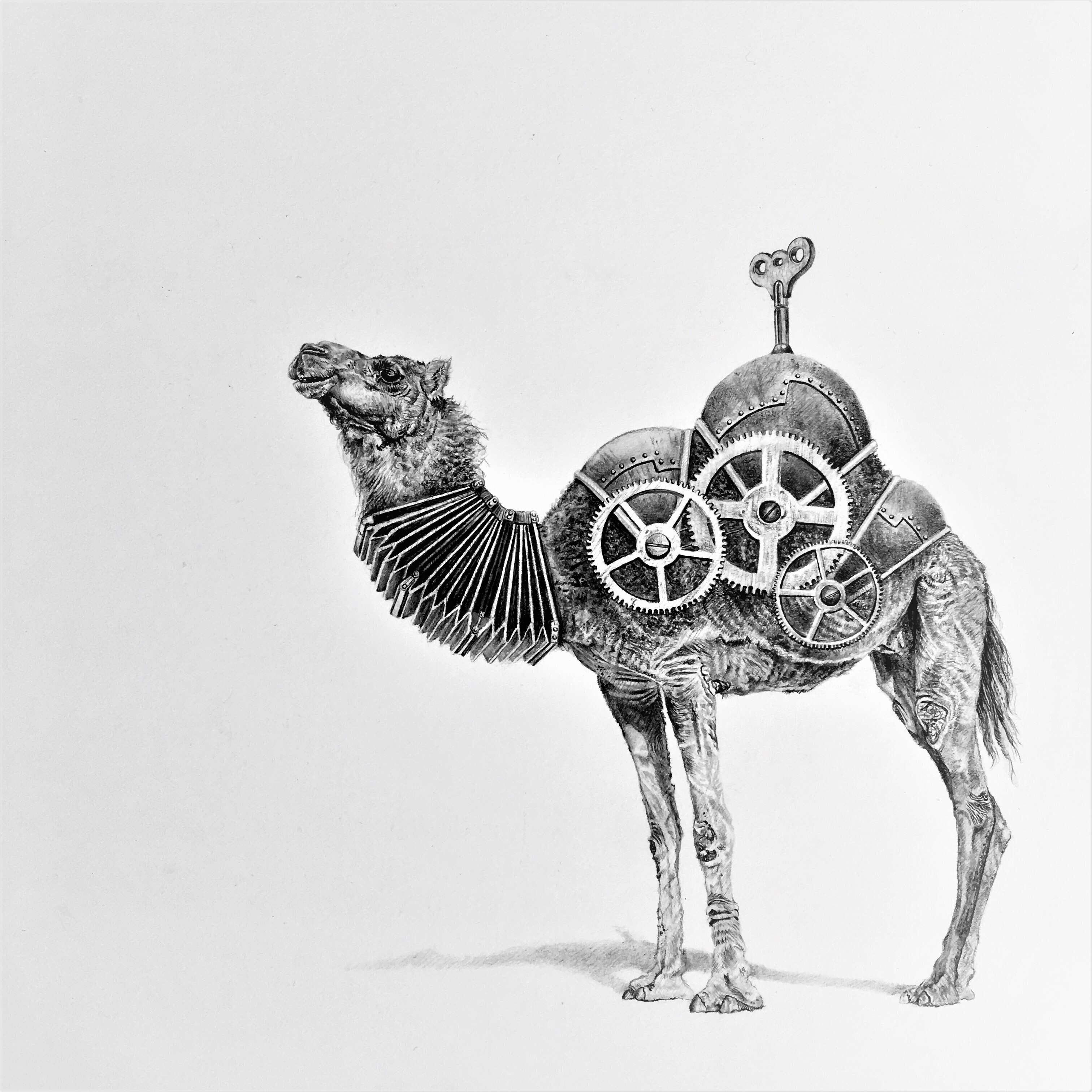 Bestiario ilustraciones de Leonardo Palencia