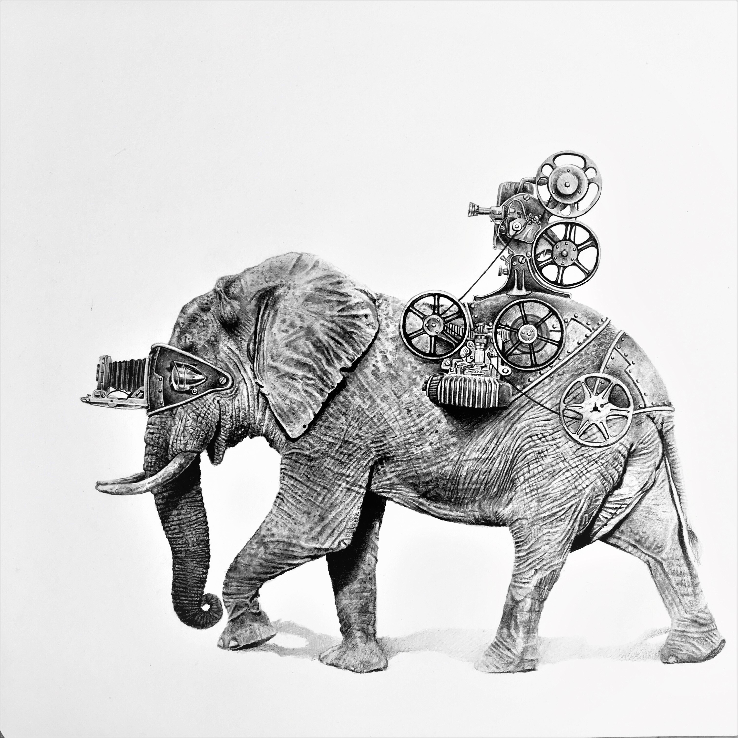Bestiario ilustraciones de Leonardo Palencia