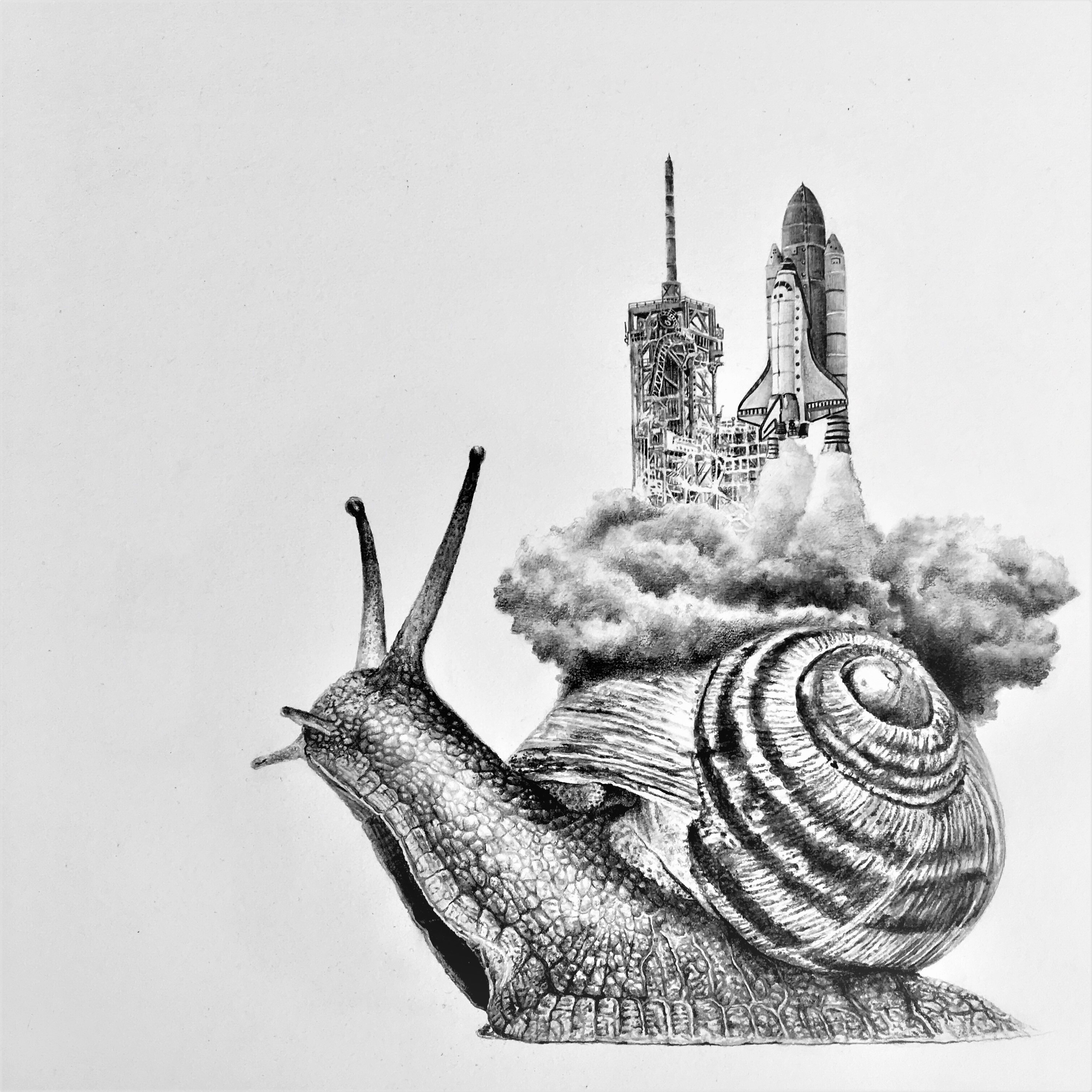 Bestiario ilustraciones de Leonardo Palencia