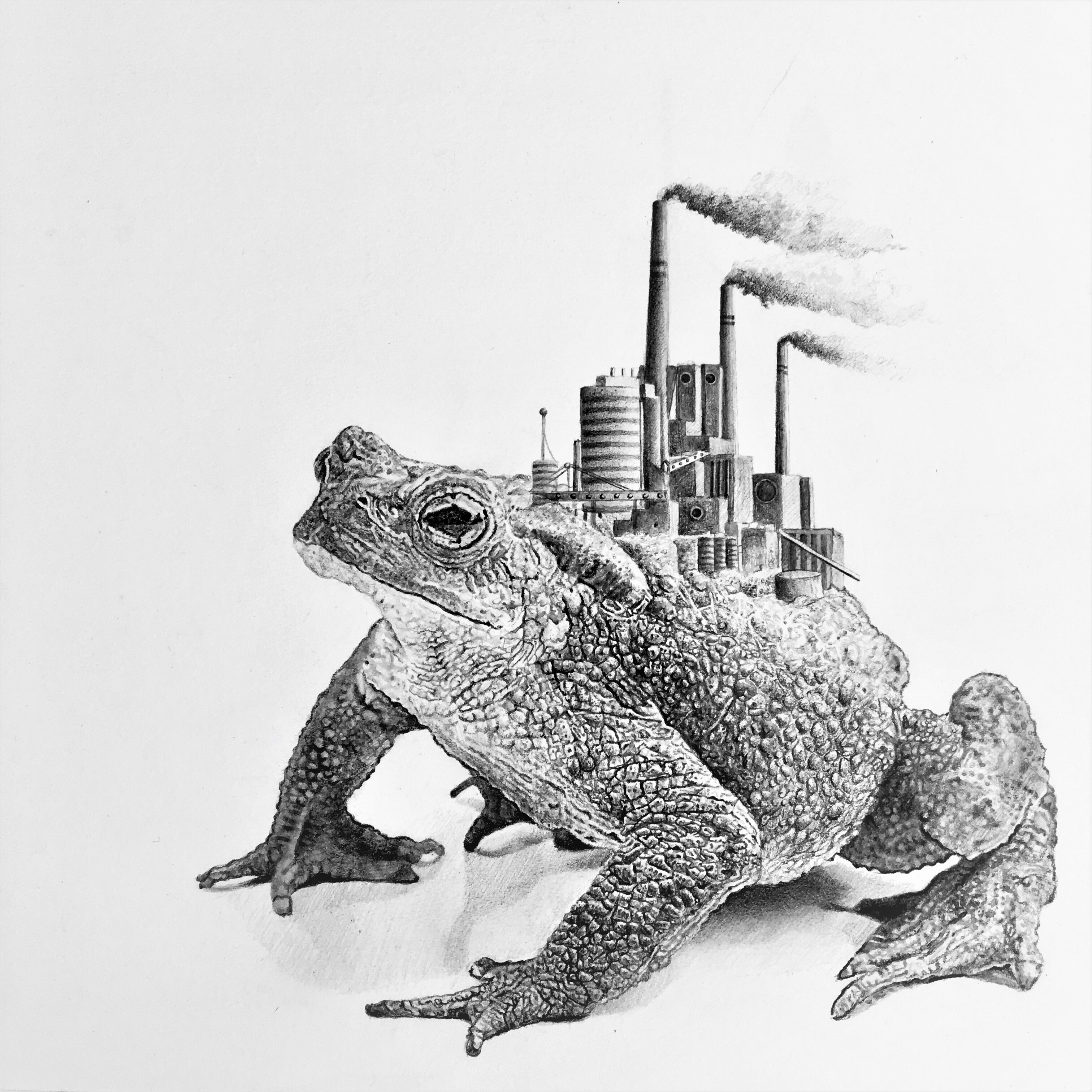 Bestiario ilustraciones de Leonardo Palencia