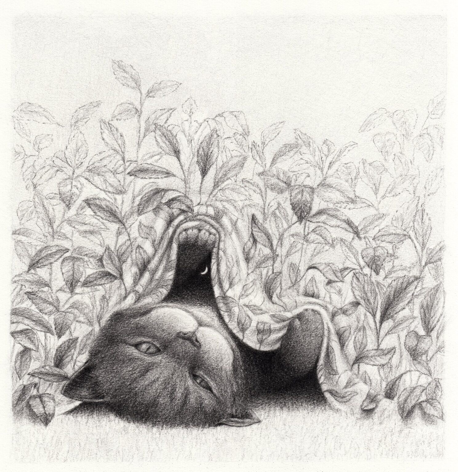 david alvarez ilustracion culturainquieta.jpg3