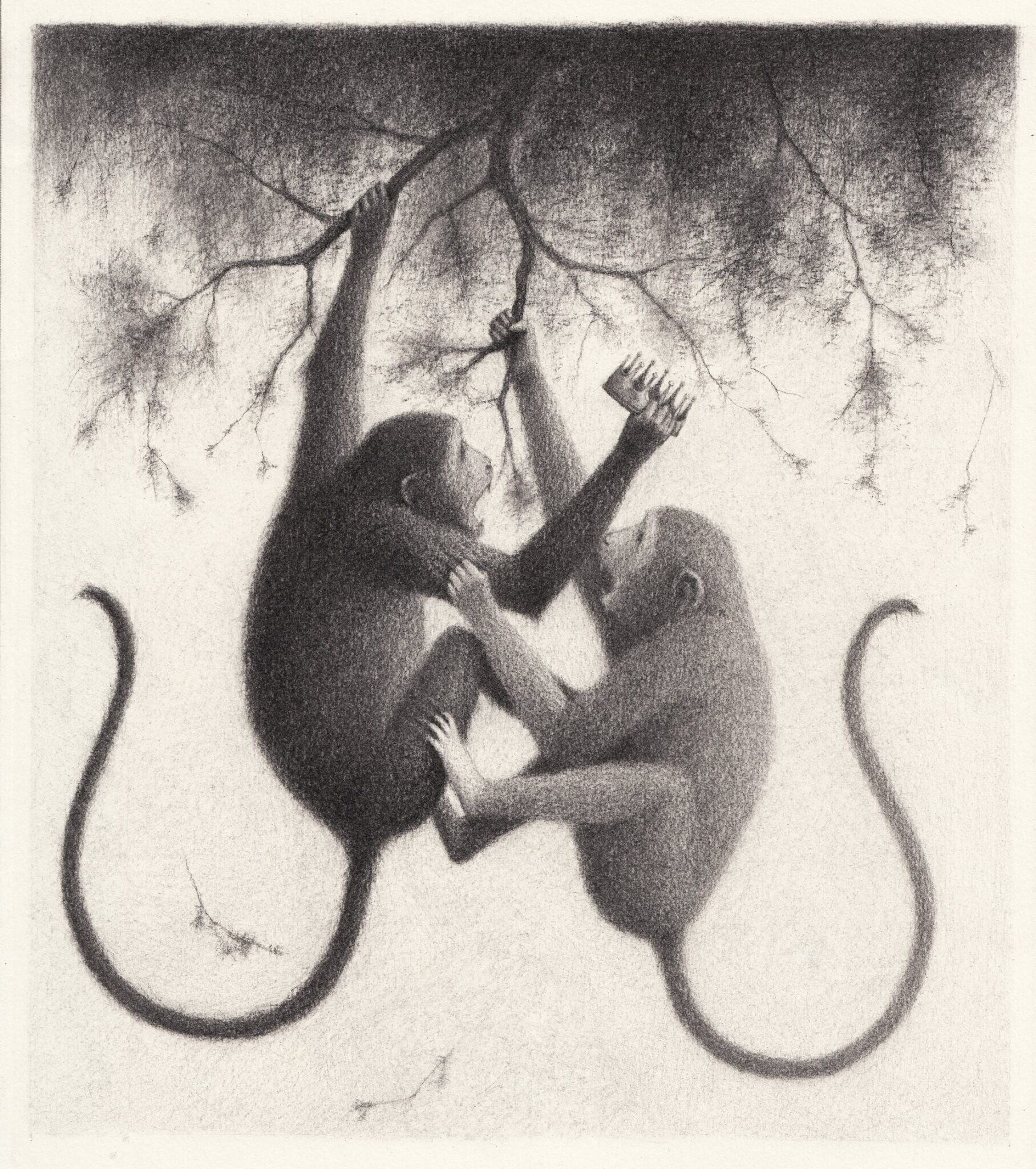 david alvarez ilustracion culturainquieta.jpg7