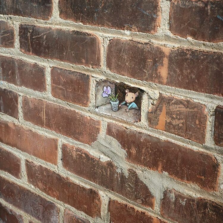 david zinn tiza arte 4