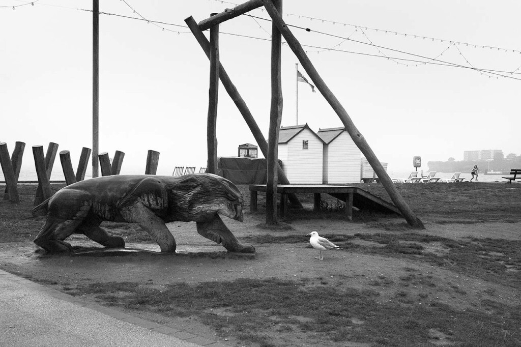 roger a. deakins byways cine fotografia blanco y negro sociedad 5
