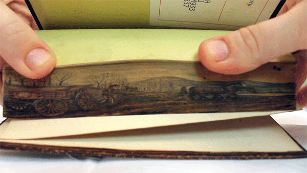 cantos de libros pinturas ocultas 4
