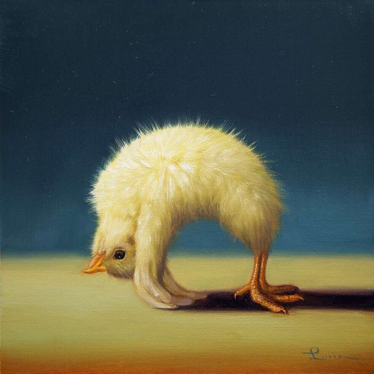 lucia heffernan naturaleza yoga humor 1