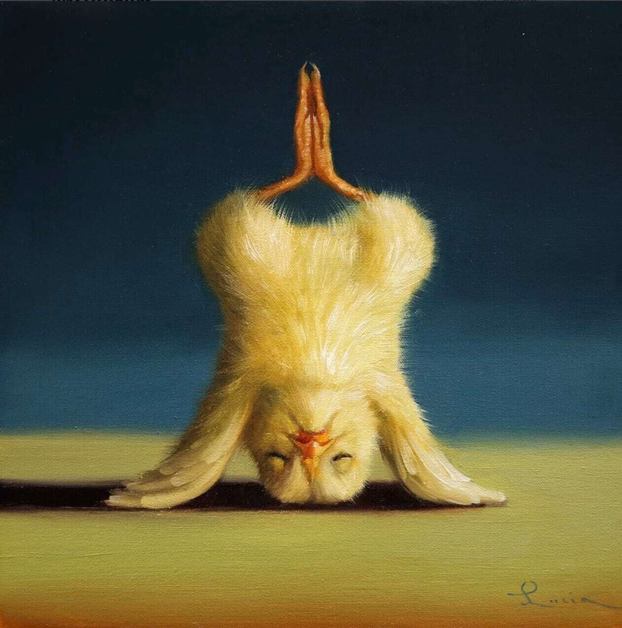 lucia heffernan naturaleza yoga humor 2