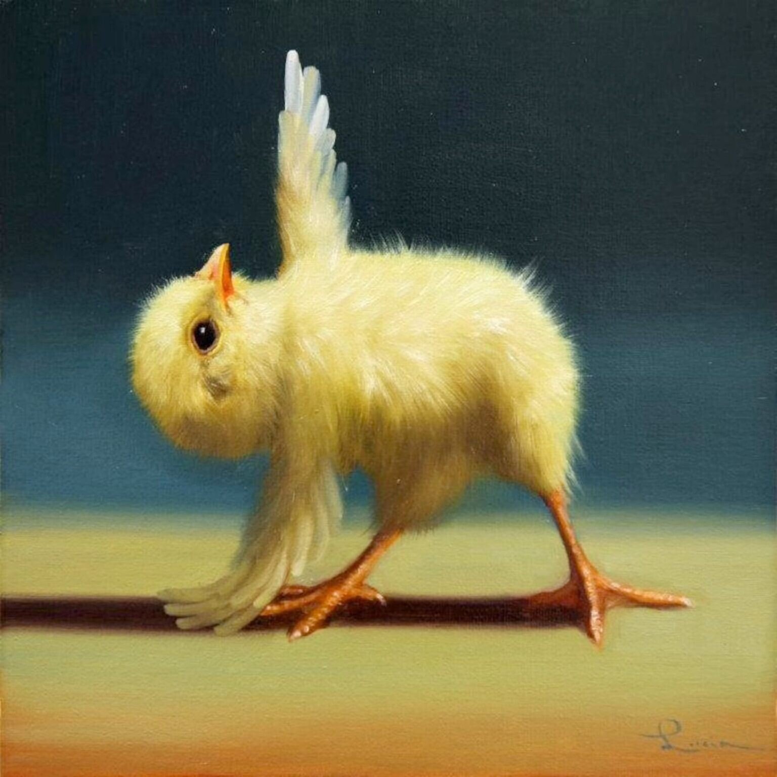 lucia heffernan naturaleza yoga humor 3