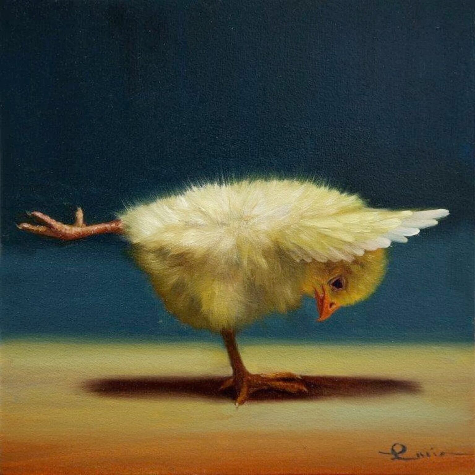 lucia heffernan naturaleza yoga humor 4