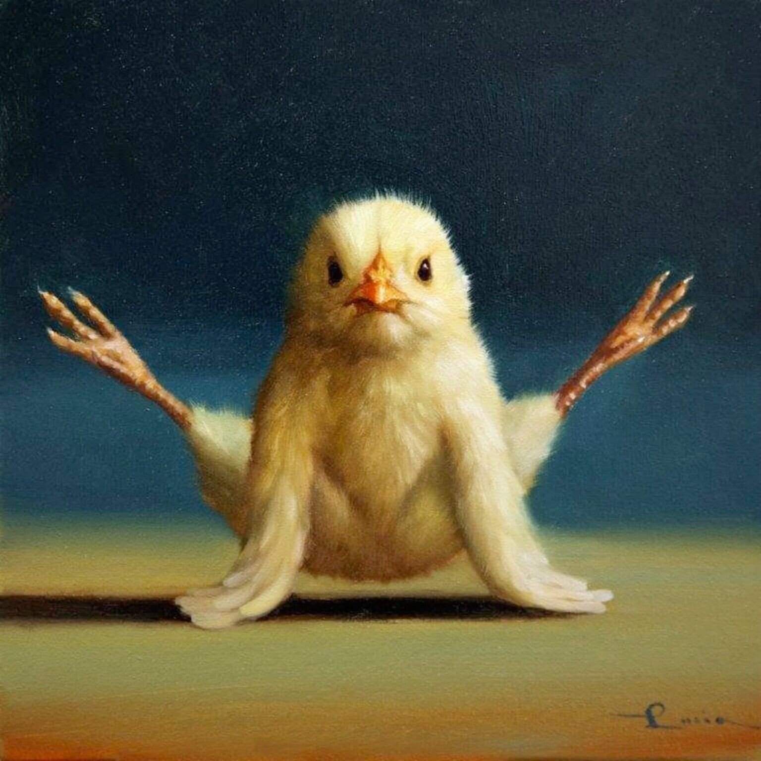 lucia heffernan naturaleza yoga humor 5