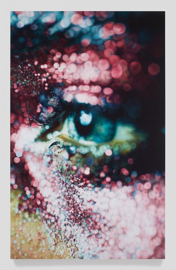 marilyn minter 003