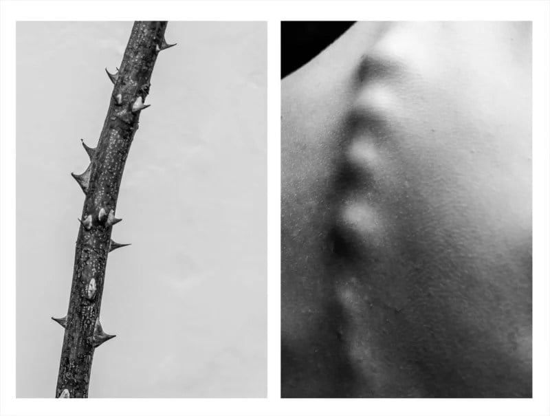 Alicja Brodowicz fotografía las similitudes entre cuerpo y naturaleza