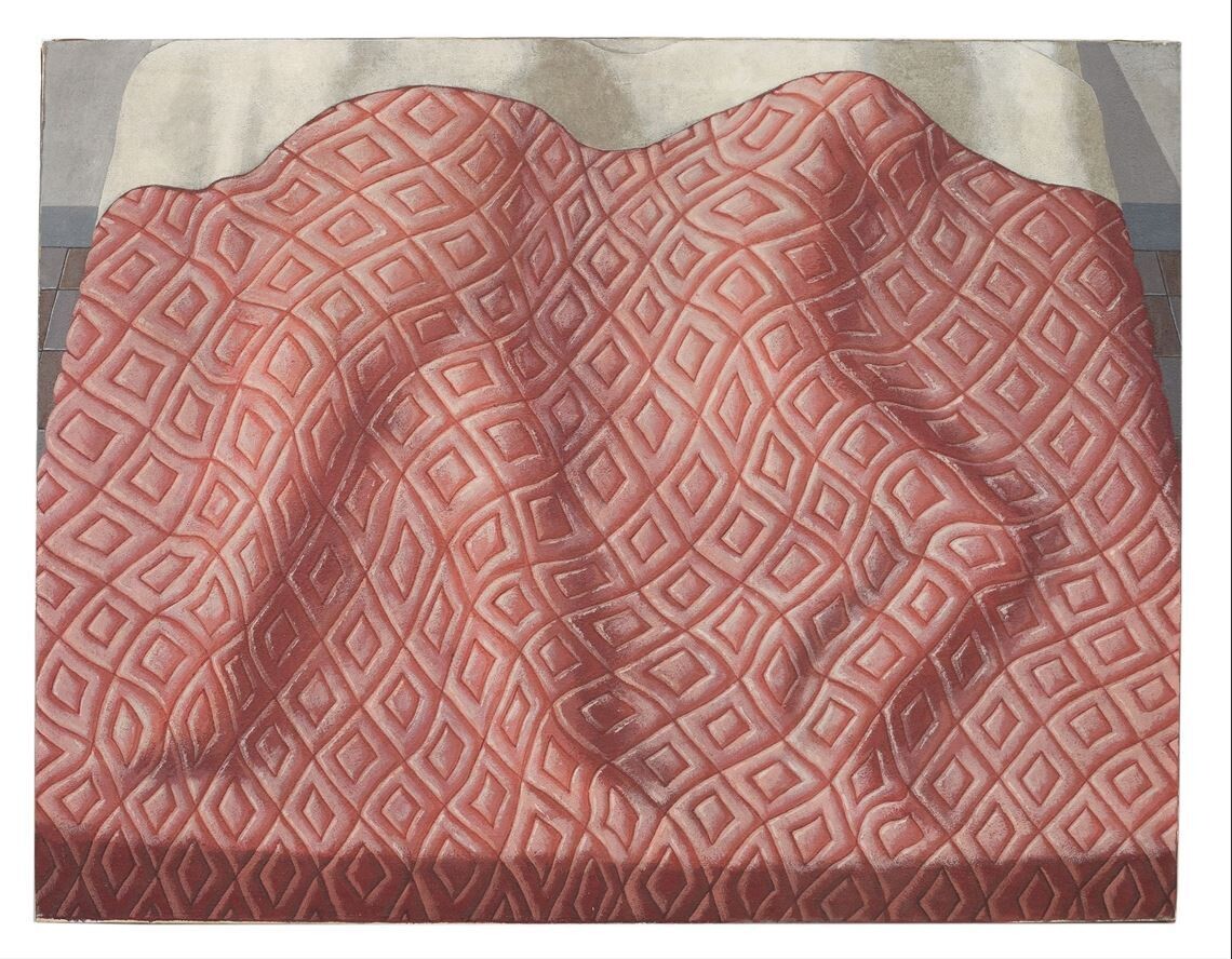 domenico gnoli cuadros detalles pinturas telas prendas ropa due dormienti 1966