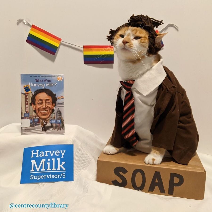 horatio gato disfraz biblioteca del condado de centre 2