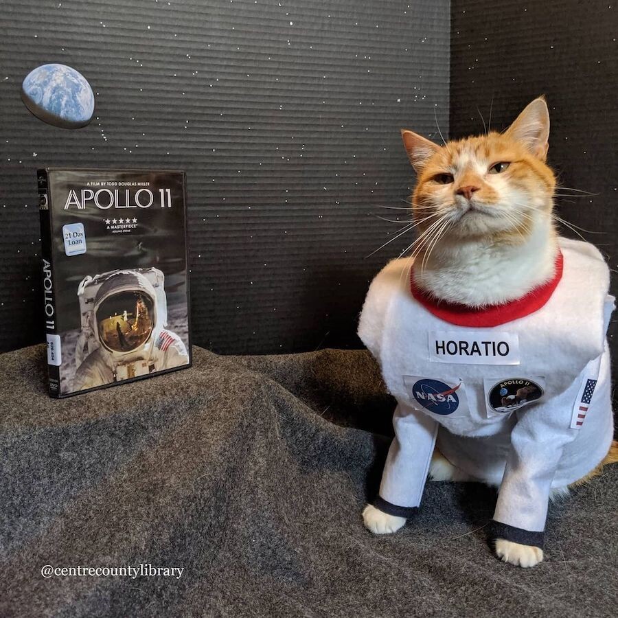 horatio gato disfraz biblioteca del condado de centre 4