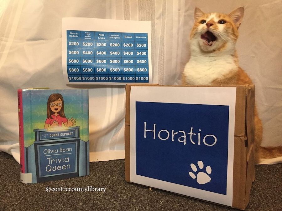horatio gato disfraz biblioteca del condado de centre 5