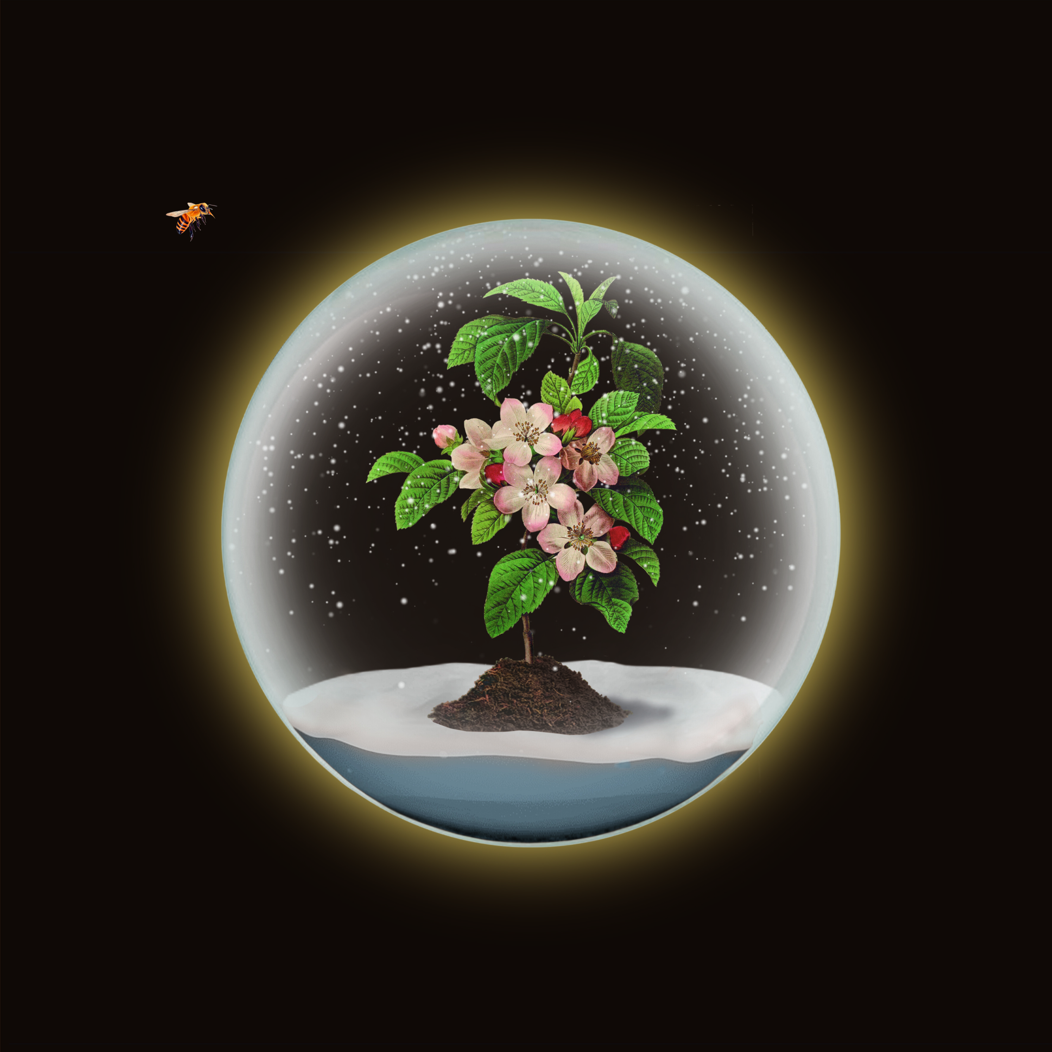 single la flor de la manzana b