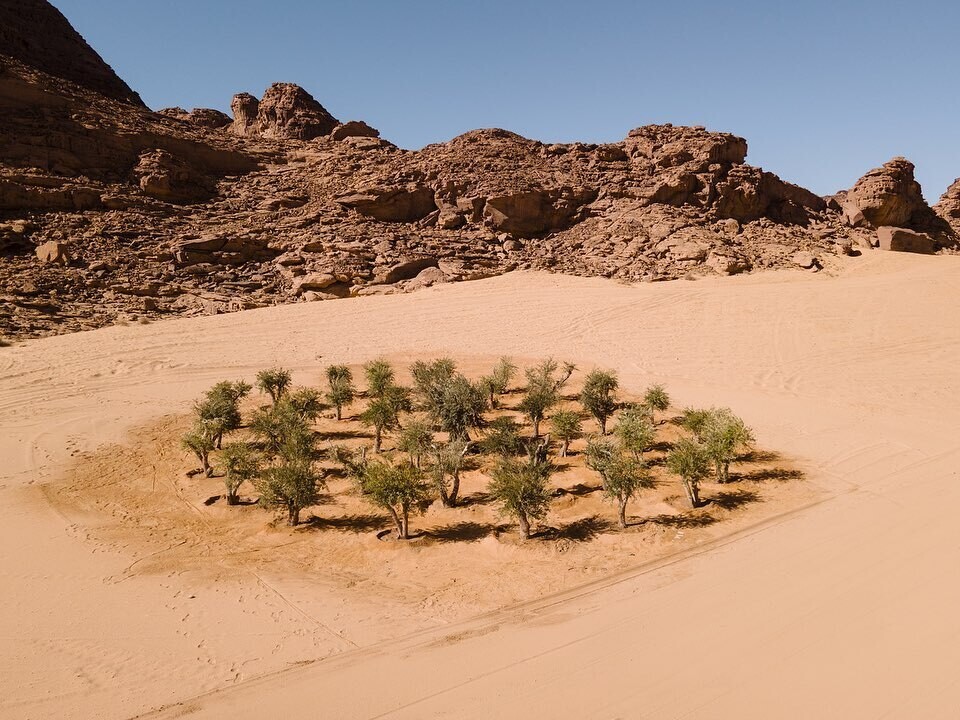 desert x alula exposicion muestra desierto arabia saudi intervencion artistica