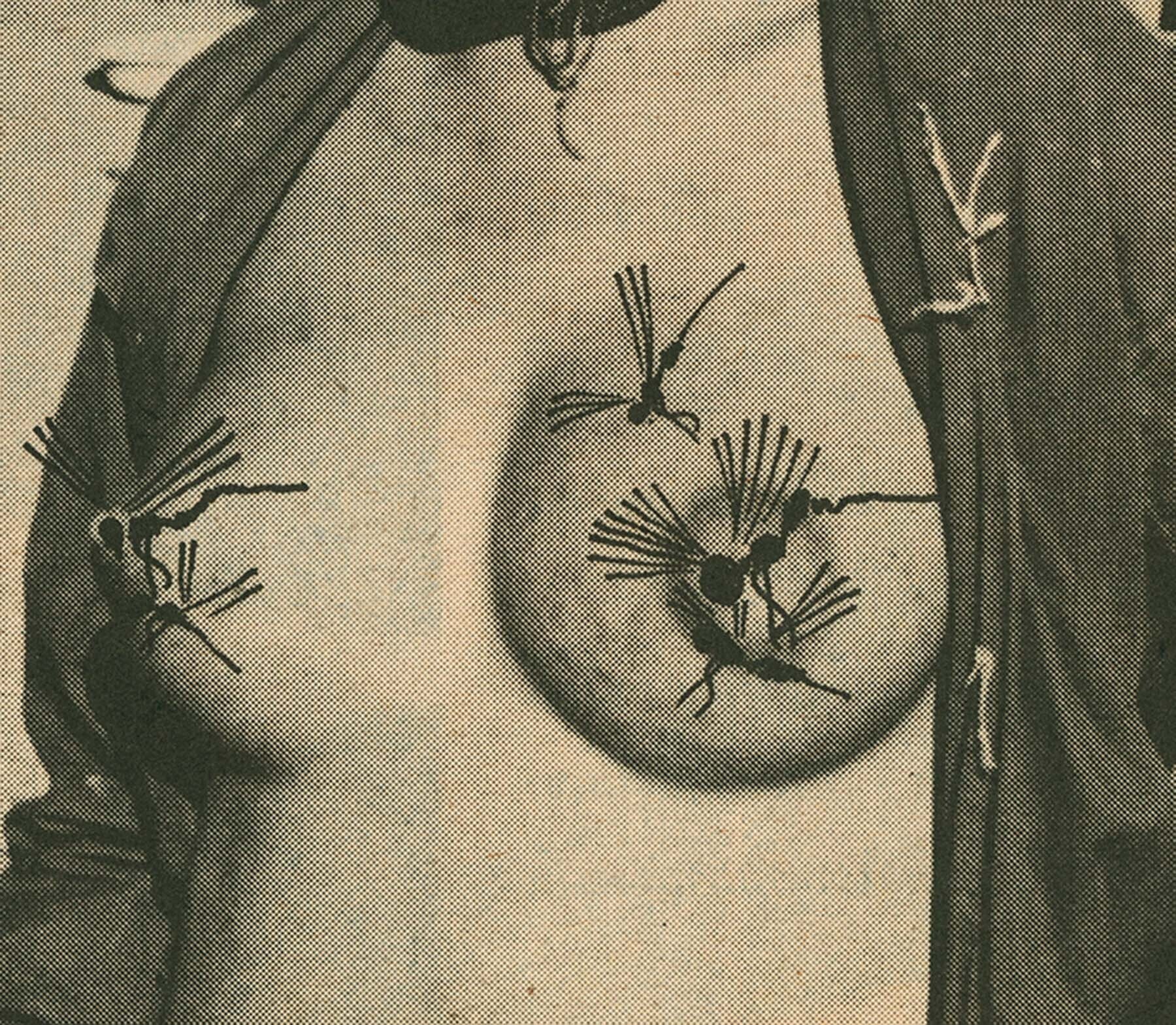 erotica tailandesa 7