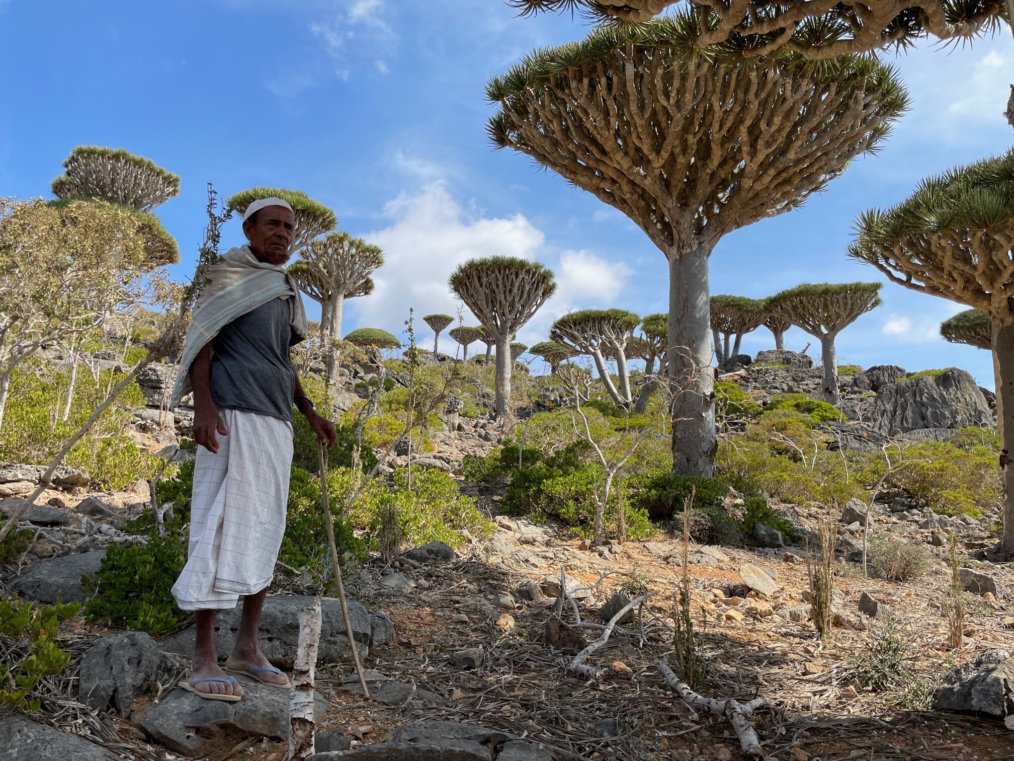 Persona de.pie en el bosque en la isla de Socrota