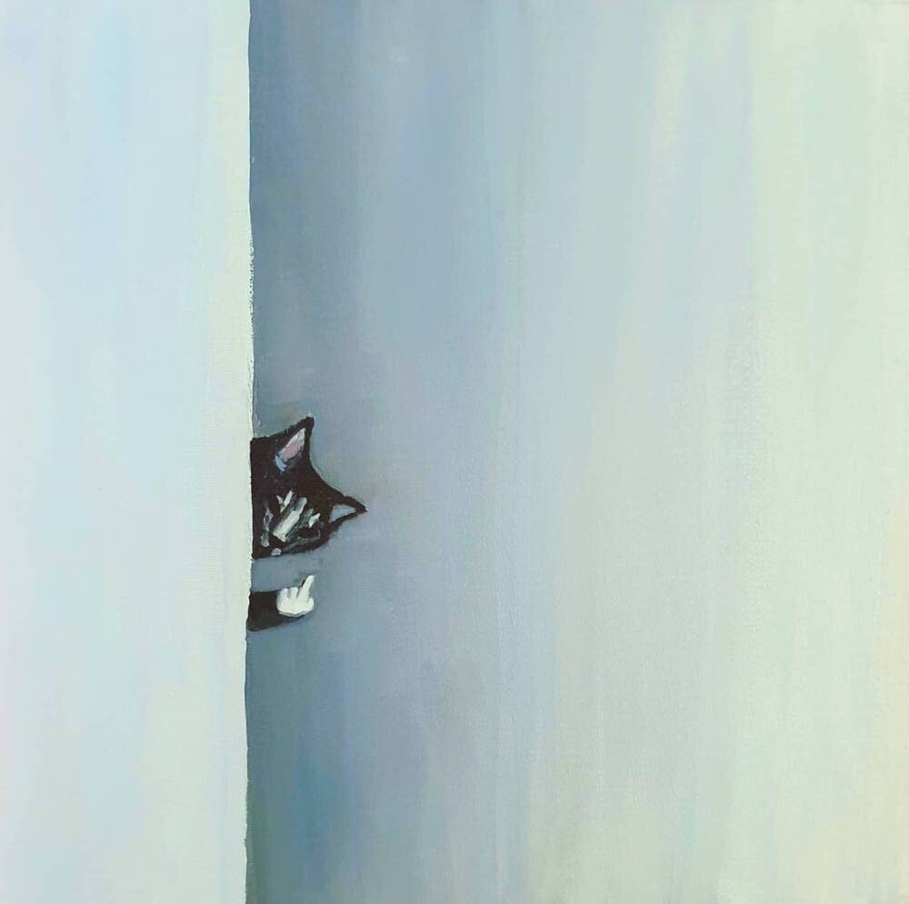 itsallinsideus gatos